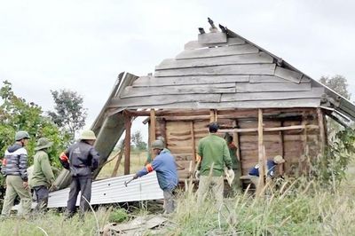 Tăng cường bảo vệ rừng, xử lý các hành vi xâm hại tài nguyên rừng - Báo Thời Báo Ngân Hàng