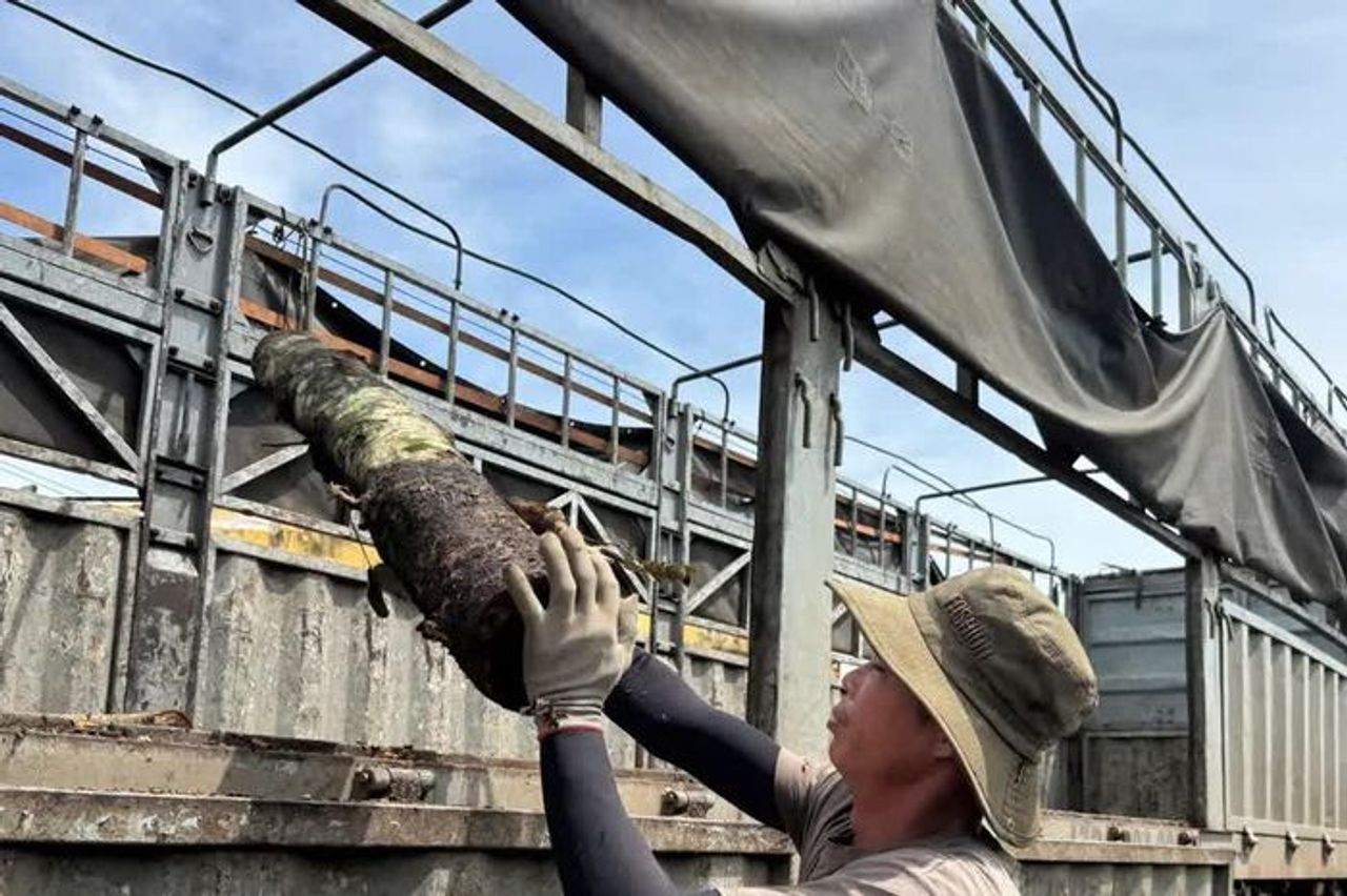 Từ củi tạp thành hàng xuất khẩu: hướng đi mới cho nông thôn Đắk Lắk - Báo Kinh tế & Đô thị