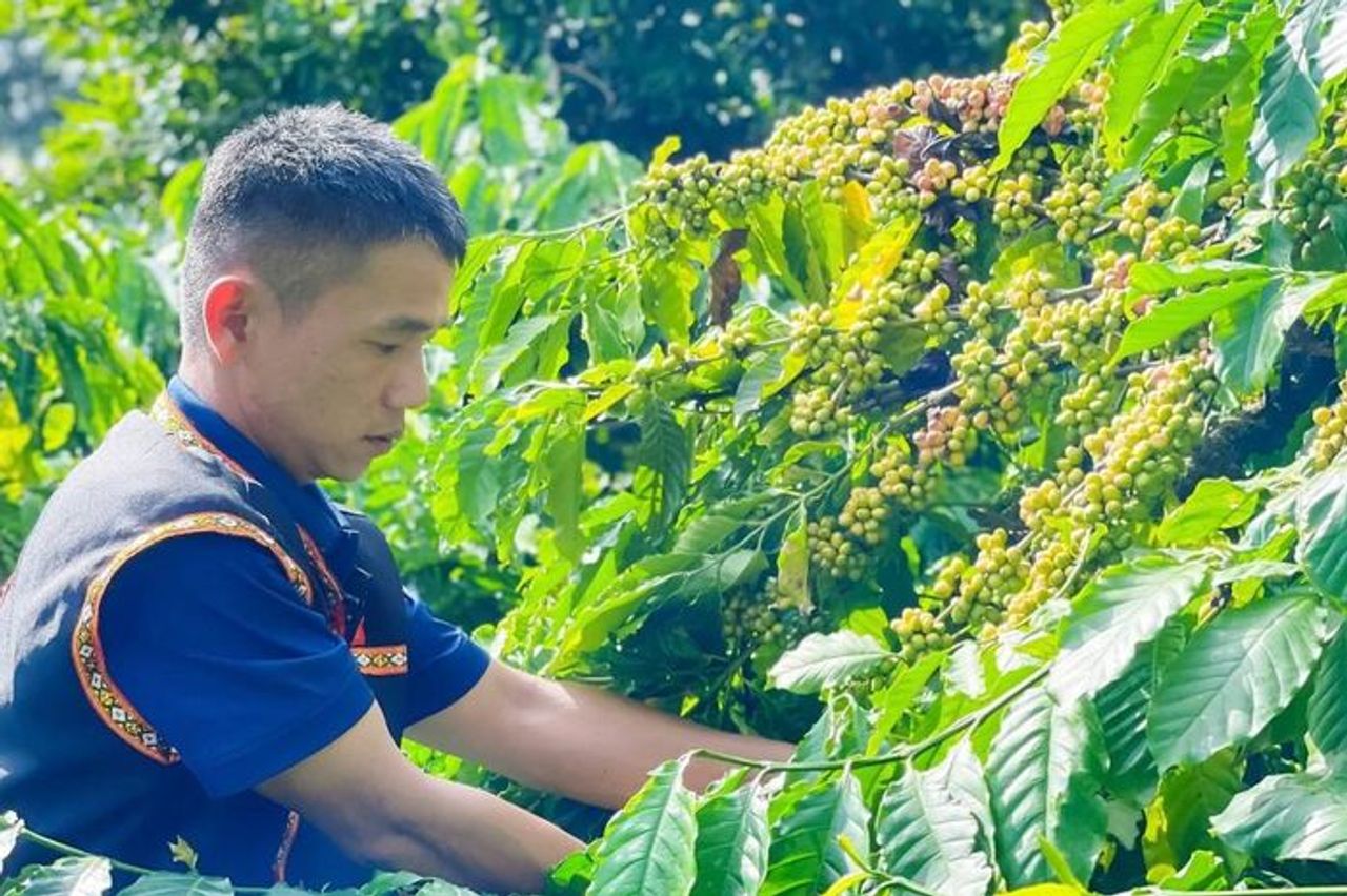 Đắk Lắk củng cố 'đòn bẩy' cho nhiệm kỳ đột phá - Báo Điện tử Tiếng nói Việt Nam