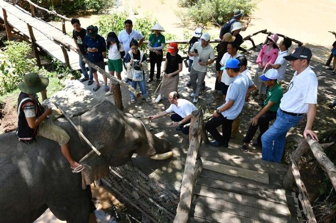 Kết nối biển xanh với đại ngàn - Báo Văn hóa