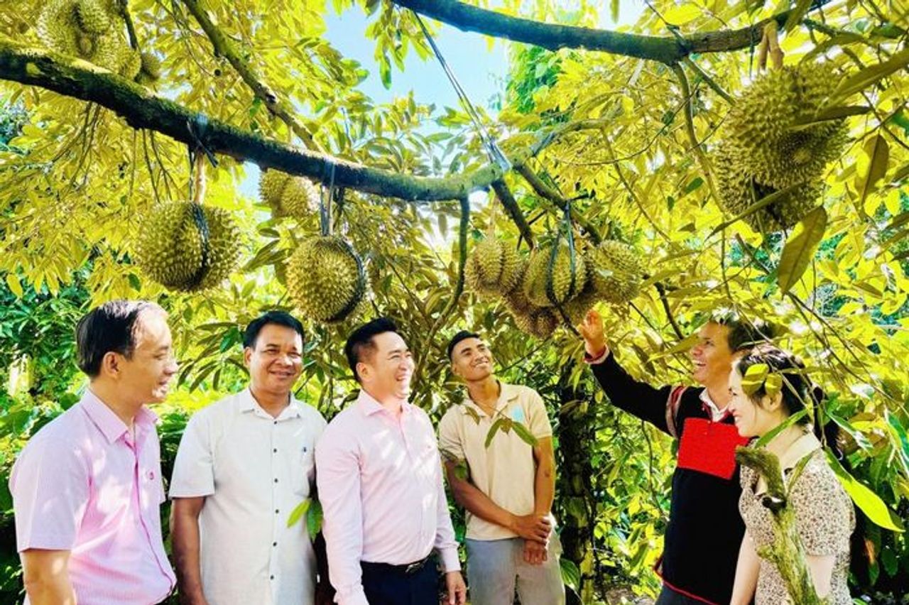 Tín dụng chính sách - điểm tựa vững chắc cho an sinh xã hội ở Đắk Lắk - Báo Thời Báo Ngân Hàng