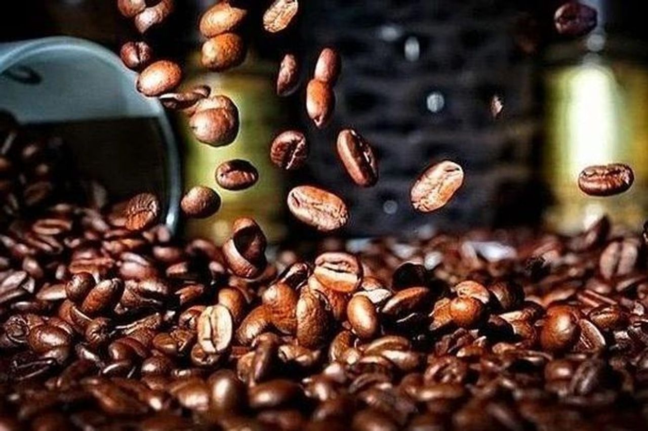 Giảm 700 đồng, cà phê tại Gia Lai giao dịch ở mốc 113.500 đồng/kg - Báo Gia Lai