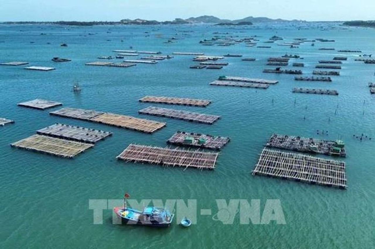 Đắk Lắk cơ cấu lại lĩnh vực nuôi trồng thủy sản - Bnews