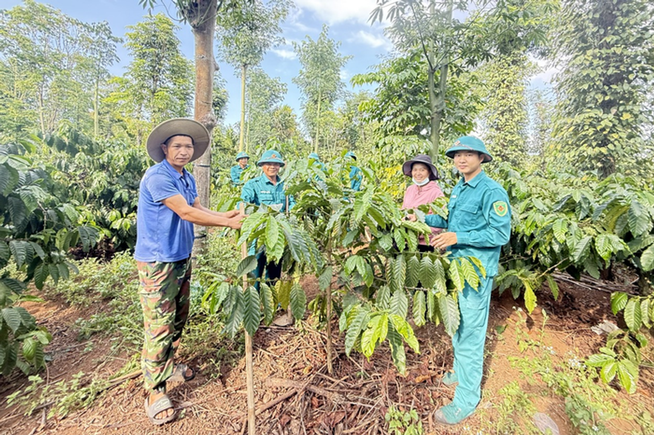 Đắk Phơi tạo đột phá trong giảm nghèo bền vững - Báo Quân Đội Nhân Dân