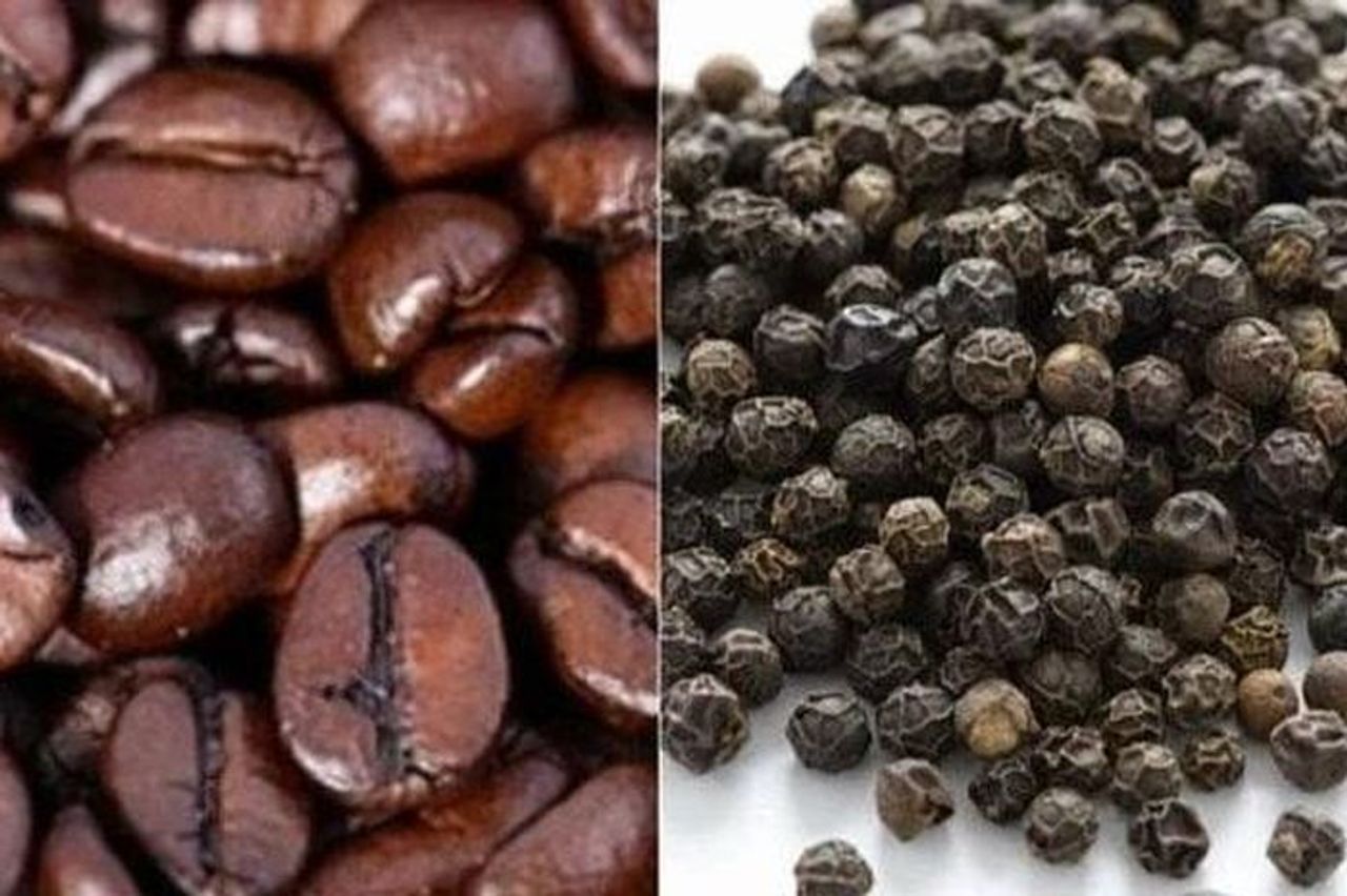 Ngày 19-10, giá cà phê và hồ tiêu giảm 1.000 đồng/kg - Báo Gia Lai