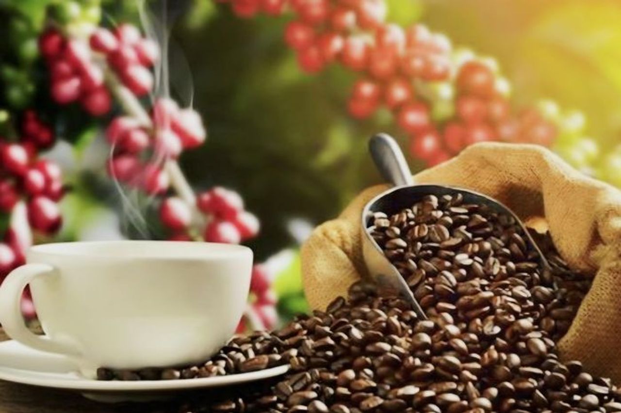Xuất khẩu cà phê hướng tới kỷ lục trên 8 tỷ USD - Báo Thời Báo Ngân Hàng