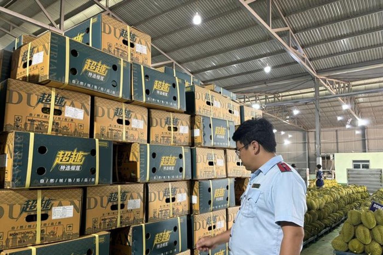 Ngành sầu riêng Đắk Lắk khẩn thiết tìm lối ra sau sự cố phòng xét nghiệm - Báo Điện tử Tiếng nói Việt Nam