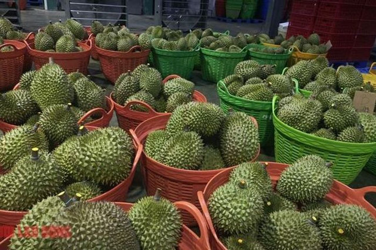 Diễn biến mới vụ hàng ngàn container sầu riêng ùn ứ - Báo Người Lao Động