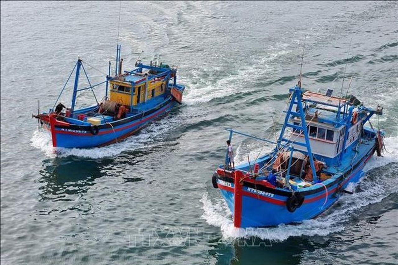 Khắc phục 'thẻ vàng' IUU: Xử lý trách nhiệm người đứng đầu nếu buông lỏng phòng chống - Báo Tin Tức TTXVN