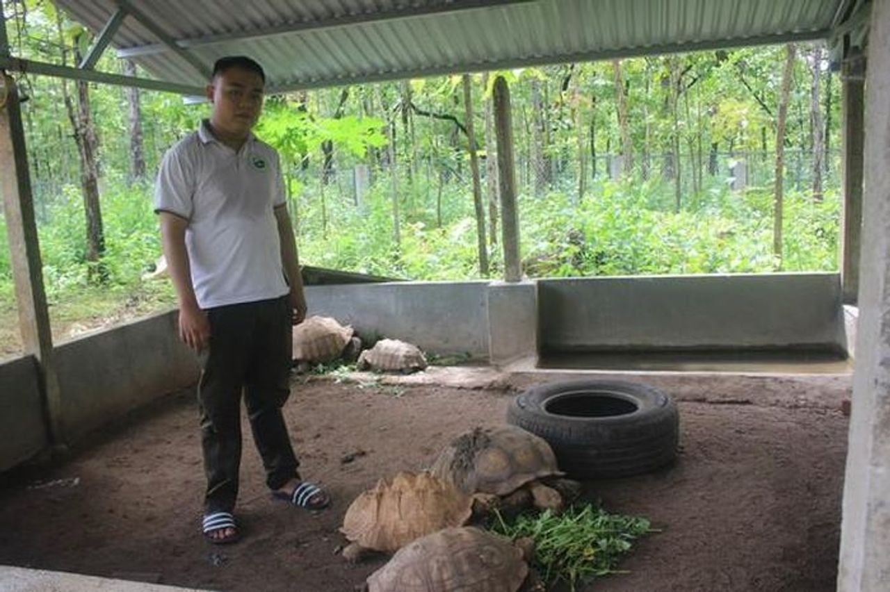 Chuyện về 'bảo mẫu' đặc biệt của động vật quý hiếm - Báo Sức Khỏe & Đời Sống