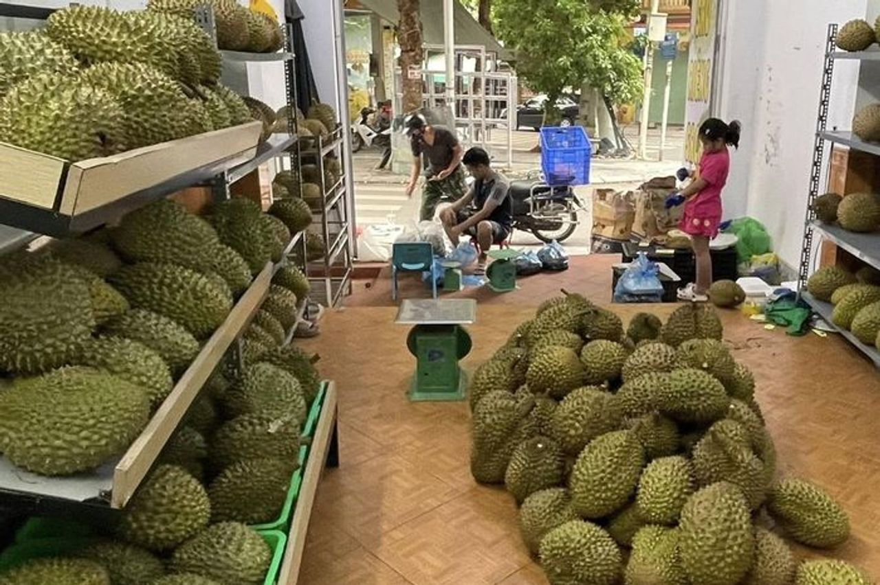 Sầu riêng lao đao vì tắc nghẽn kiểm nghiệm - Báo Thời Báo Ngân Hàng
