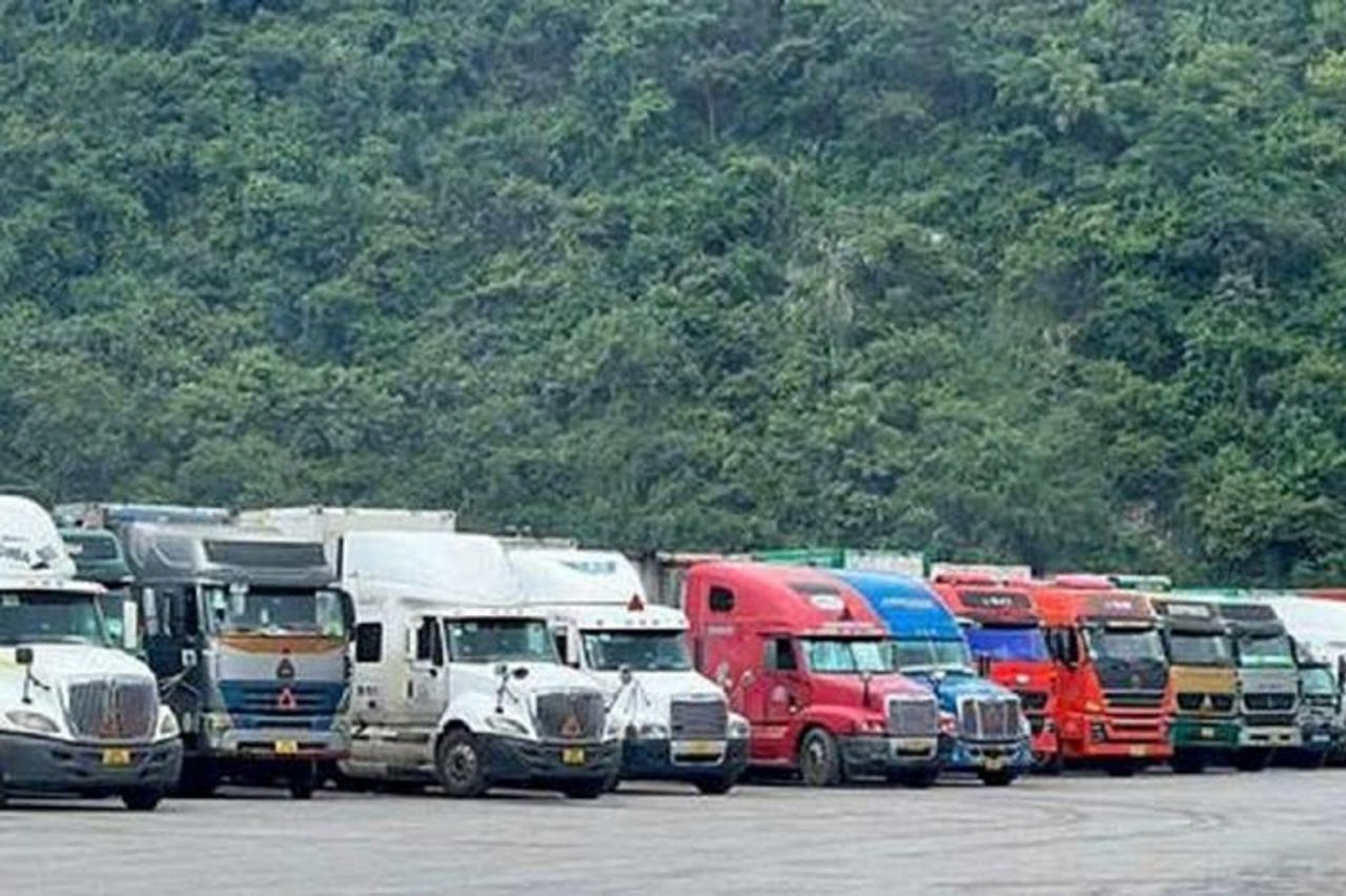 Hết kẹt tiêu chuẩn lại kẹt phòng xét nghiệm - sầu riêng bao giờ hết... kẹt? - Báo Điện tử Tiếng nói Việt Nam