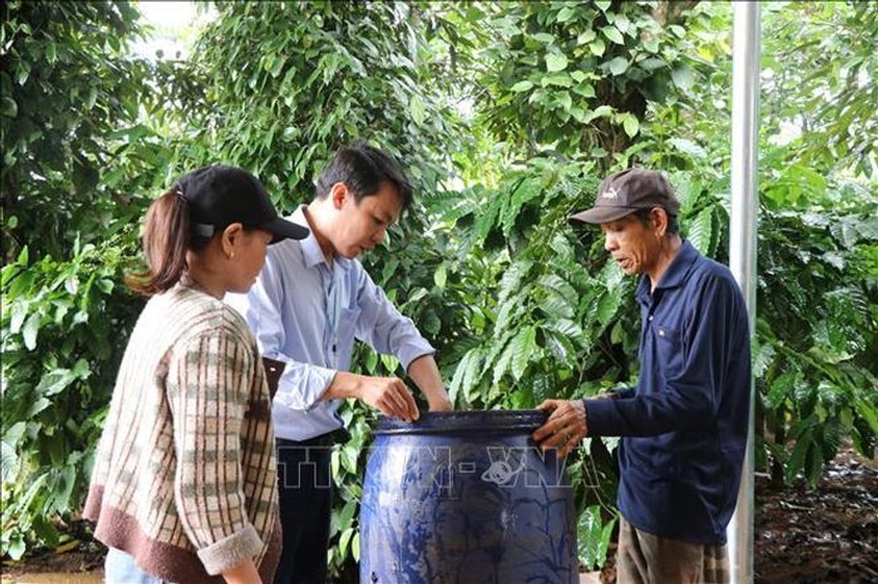 Đắk Lắk tăng tốc ngăn dịch sốt xuất huyết đang lan rộng - Báo Tin Tức TTXVN