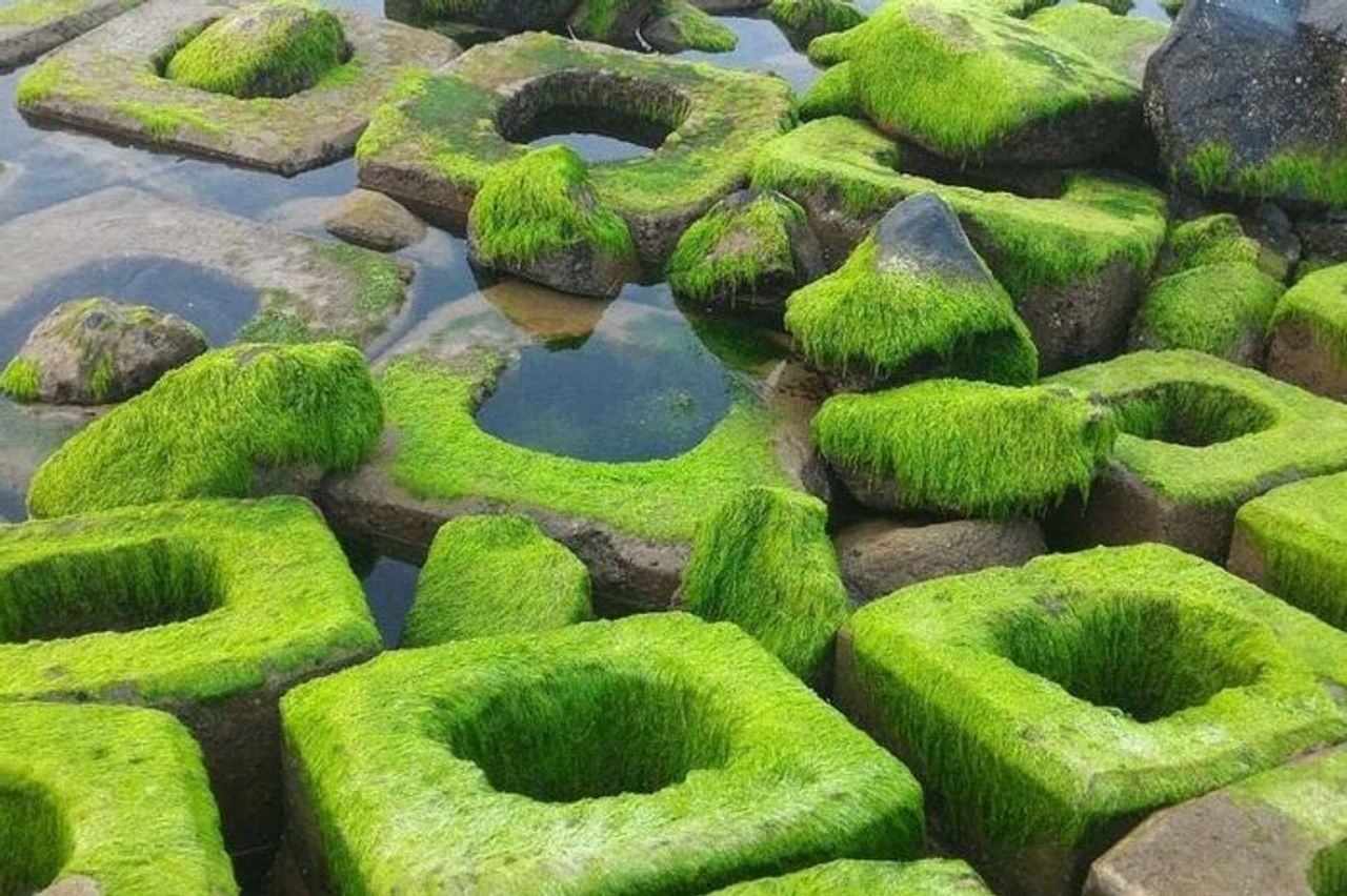 Xóm Rớ Phú Yên: Vẻ đẹp bất ngờ từ bờ kè chắn sóng rêu xanh - Báo Lâm Đồng