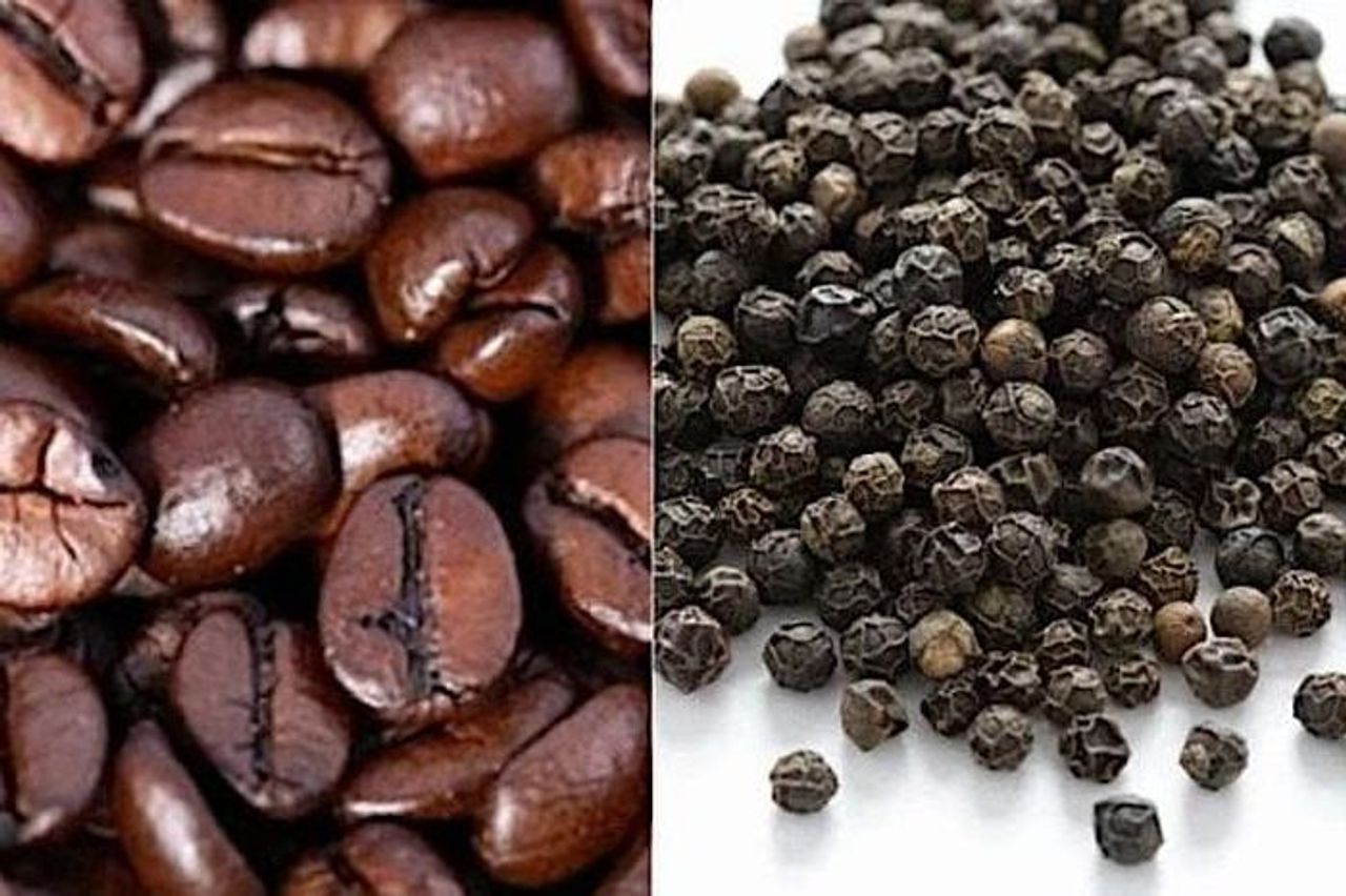 Ngày 1-11, giá cà phê và hồ tiêu cùng khởi sắc - Báo Gia Lai