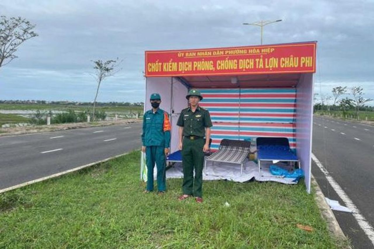 Một phường ở Đắk Lắk công bố dịch tả lợn châu Phi và lập ngay 5 chốt kiểm dịch - Báo Công An Nhân Dân