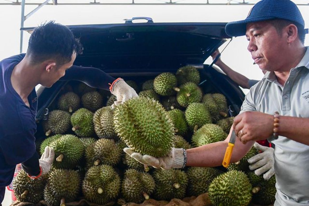 Diễn biến mới vụ gần 2.000 container sầu riêng bị ùn tắc - Báo VietnamNet