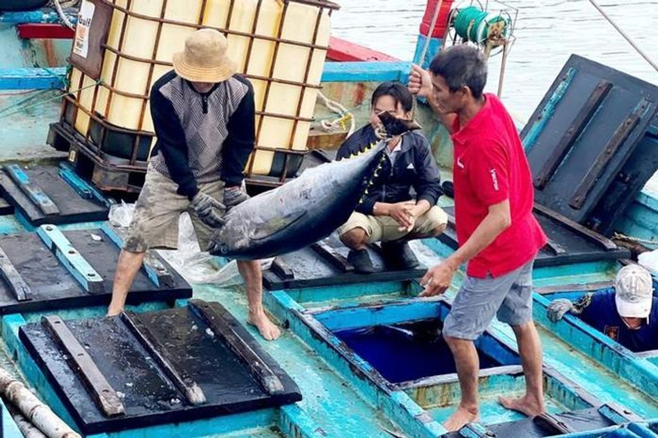Tây Nguyên - Nam Trung Bộ: Cực tăng trưởng mới (*): Xây dựng chuỗi giá trị - Báo Người Lao Động