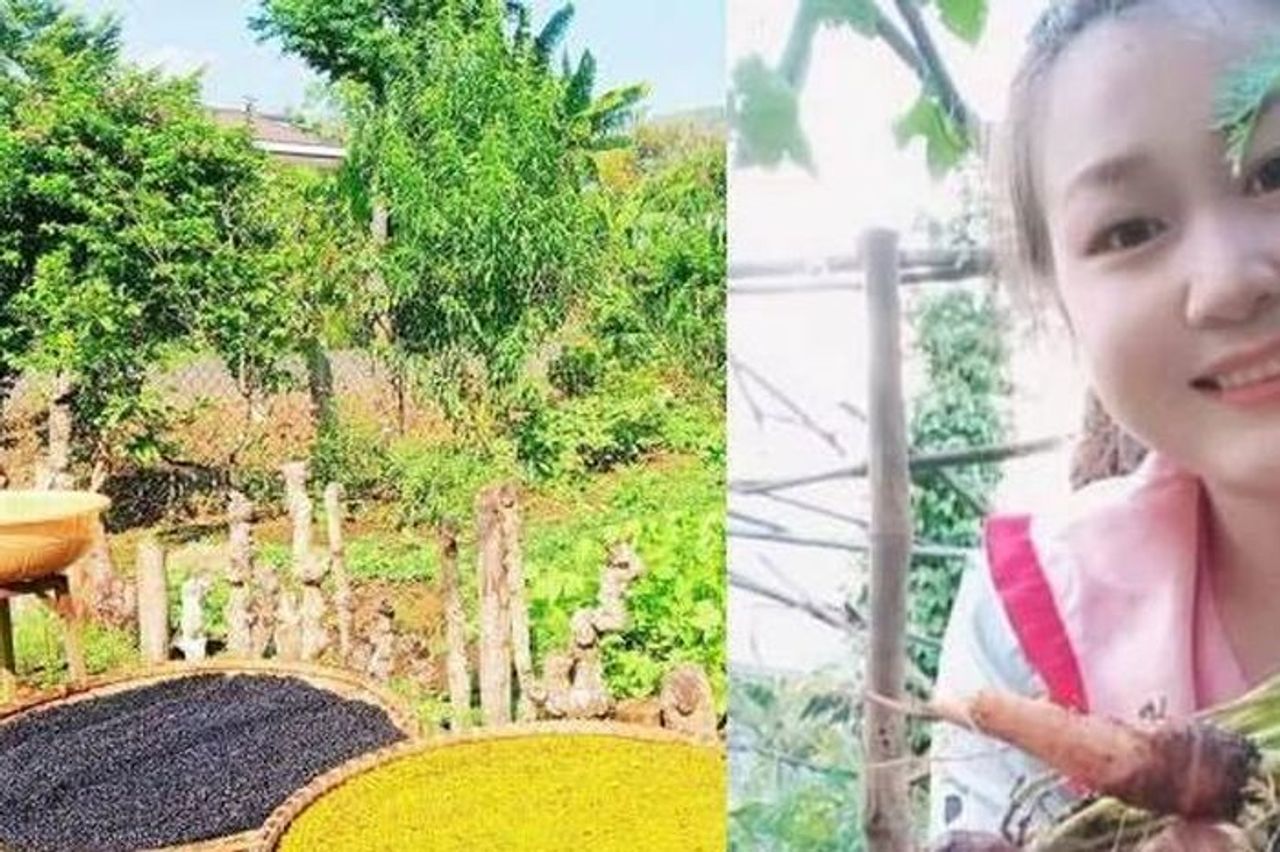 Bỏ phố về quê trồng rau, 9X tìm thấy bình yên giữa nắng gió Tây Nguyên - Báo VietnamNet