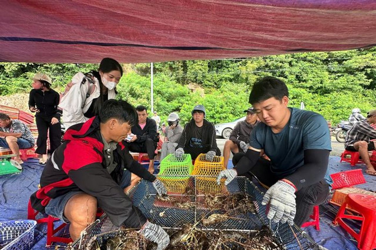 Giá tôm hùm tại Đắk Lắk giảm trước bão số 13 Kalmaegi - Báo VTC News