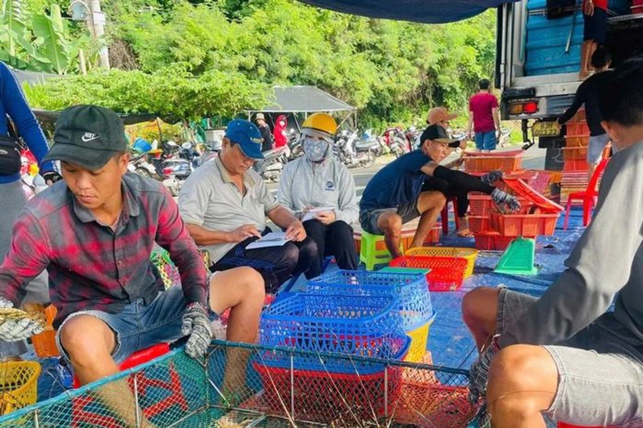 Thủ phủ tôm hùm lớn nhất miền Trung 'chạy bão' - Báo Tiền Phong