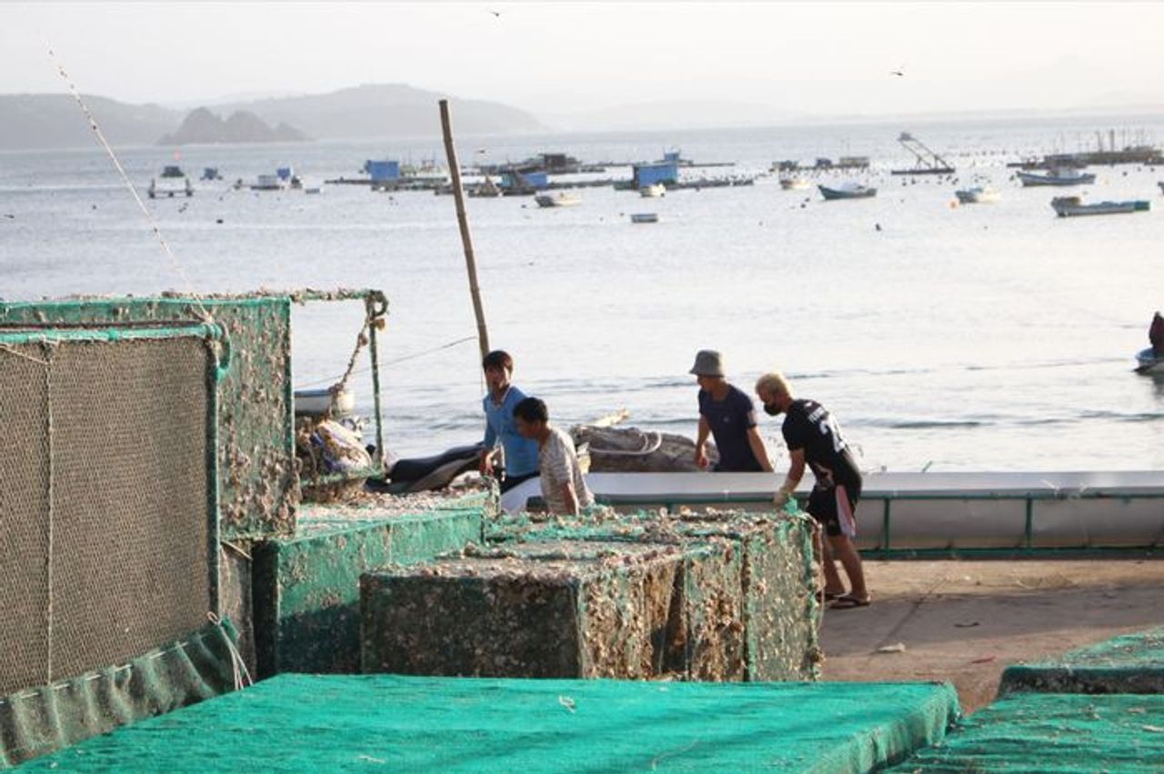 Đắk Lắk: Đưa 92 hộ dân lên chùa và trường học để tránh bão số 13 Kalmaegi - Báo Pháp Luật TP.HCM