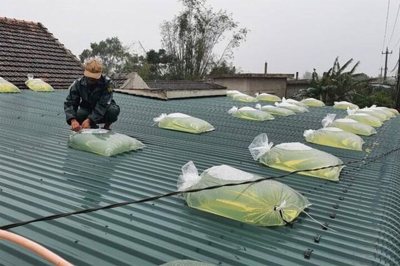 Hướng dẫn người dân bảo vệ nhà cửa trước khi bão số 13 đổ bộ - Báo Sức Khỏe & Đời Sống